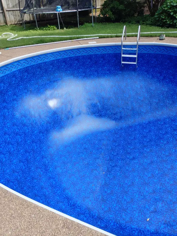 Round above-ground pool with a new blue liner and ladder